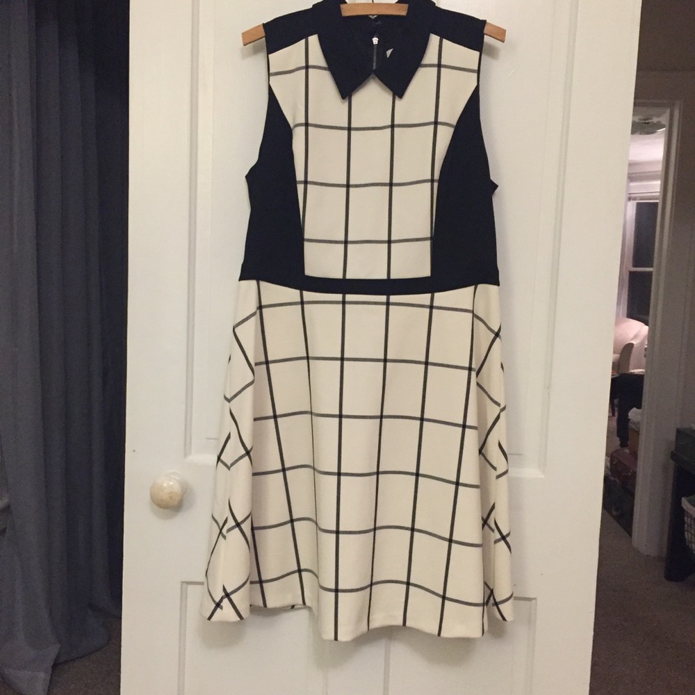 NWT Loft windowpane fit and flare dress!